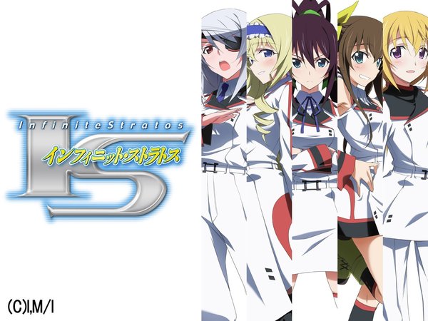 [Snow-Raws] 无限斯特拉托斯/IS: Infinite Stratos/IS＜インフィニット・ストラトス＞ (BD 1920x1080 HEVC-YUV420P10 FLAC)