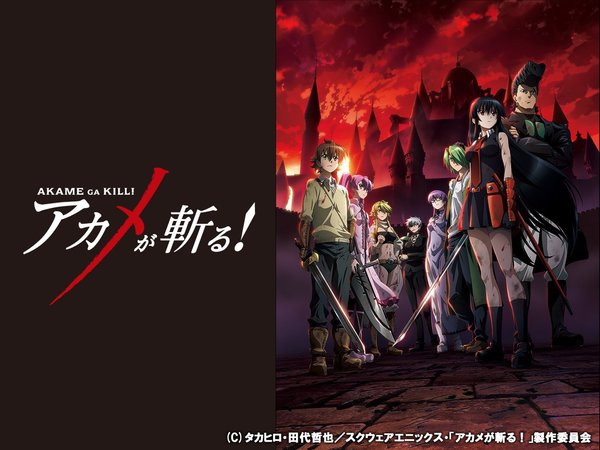 [Snow-Raws] 斩·赤红之瞳！/Akame ga Kill!/アカメが斬る! (BD 1920x1080 HEVC-YUV420P10 FLACx2)