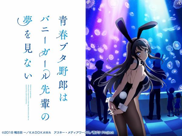 [Snow-Raws] 青春期笨蛋不做兔女郎学姐的梦/Seishun Buta Yarou wa Bunny Girl Senpai no Yume o Minai/青春ブタ野郎はバニーガール先輩の夢を見ない(BD 1920x1080 HEVC-YUV420P10 FLAC)