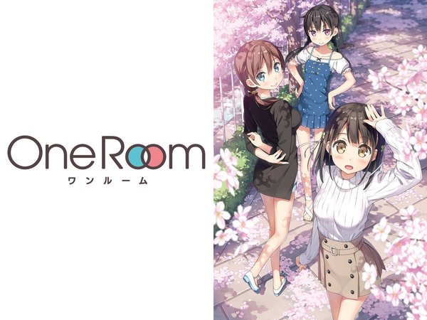 [Snow-Raws] One Room/One Room/One Room (BD 1920x1080 HEVC-YUV420P10 FLAC)